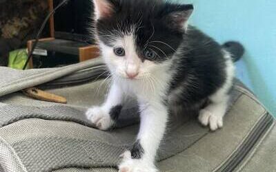 KILI