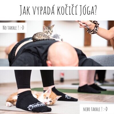 2. CHARITATIVNÍ JÓGA S KOŤÁTKY