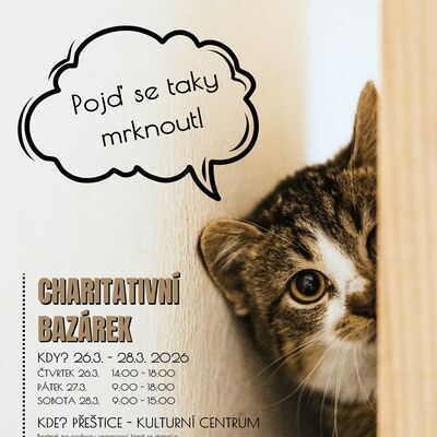 JARNÍ CHARITATIVNÍ BAZÁREK V PŘEŠTICÍCH